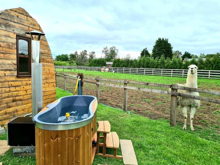 Skipbridge Farm Glamping ヨーク エクステリア 写真